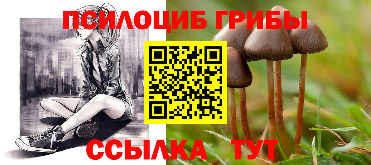 Кемерово  Галлюциногенные грибы прущие грибы  Вход с VPN 
