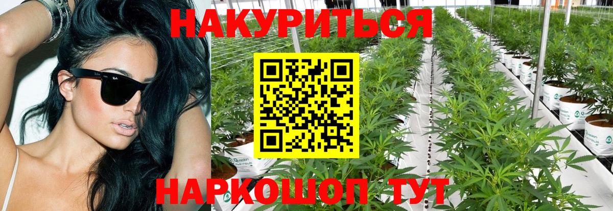 Канабис White Widow Кемерово